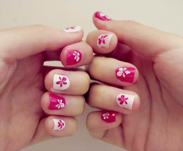 Pink And White Flowers