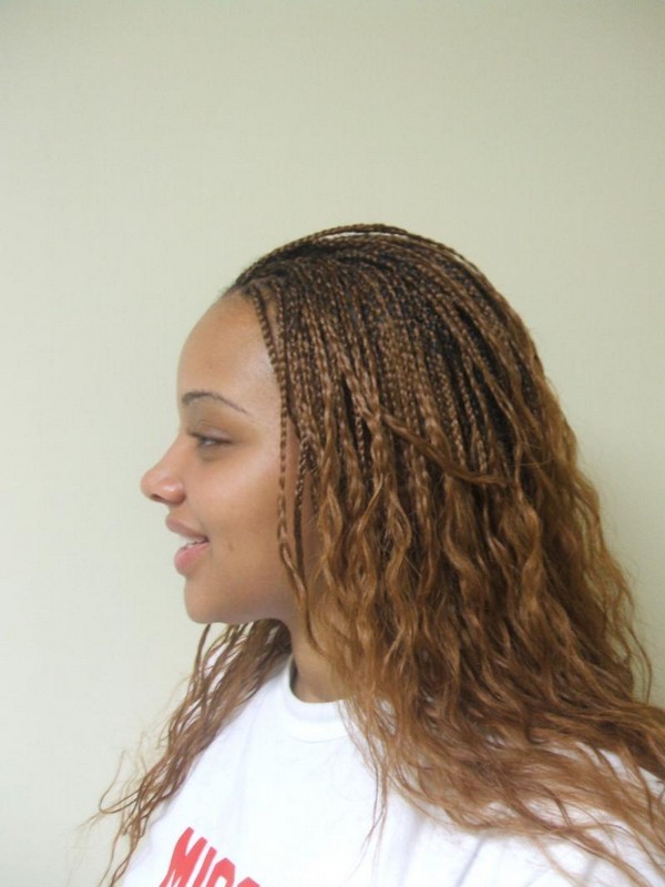 77 Micro Braids Hairstyles And How To Do Your Own Braids