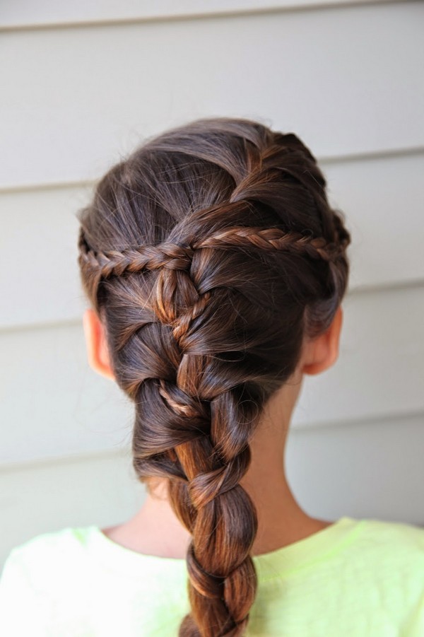 French Braids Hairstyle
