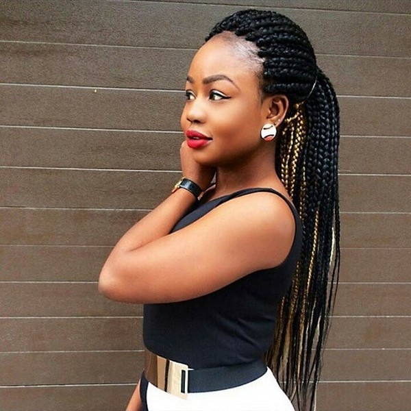 47 Big Jumbo Braids Styles With Trending Images For 2019