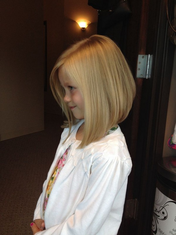 Little Girl Braided Hairstyles