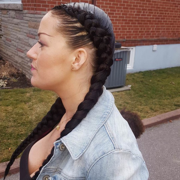 Two Braids Hairstyles