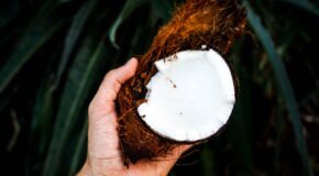 coconut oil hair cream