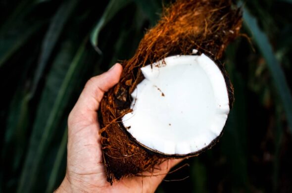 coconut oil hair cream