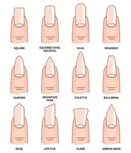Nail Shapes Chart