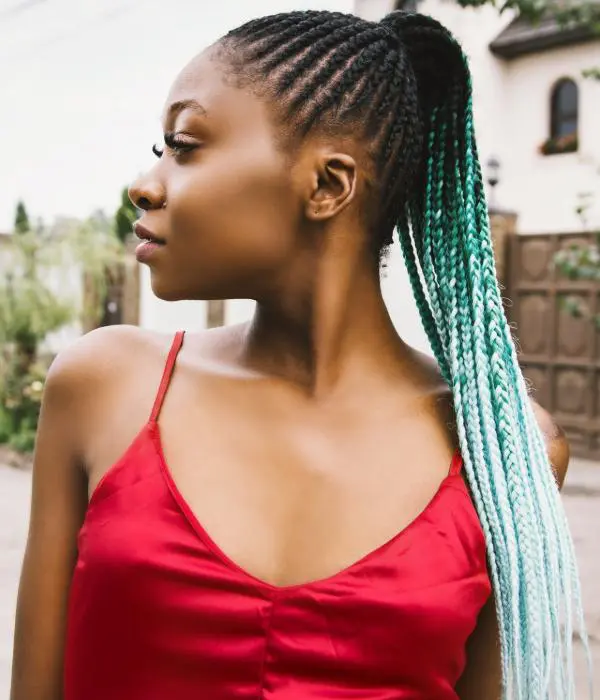 Box Braids Hairstyles 2018