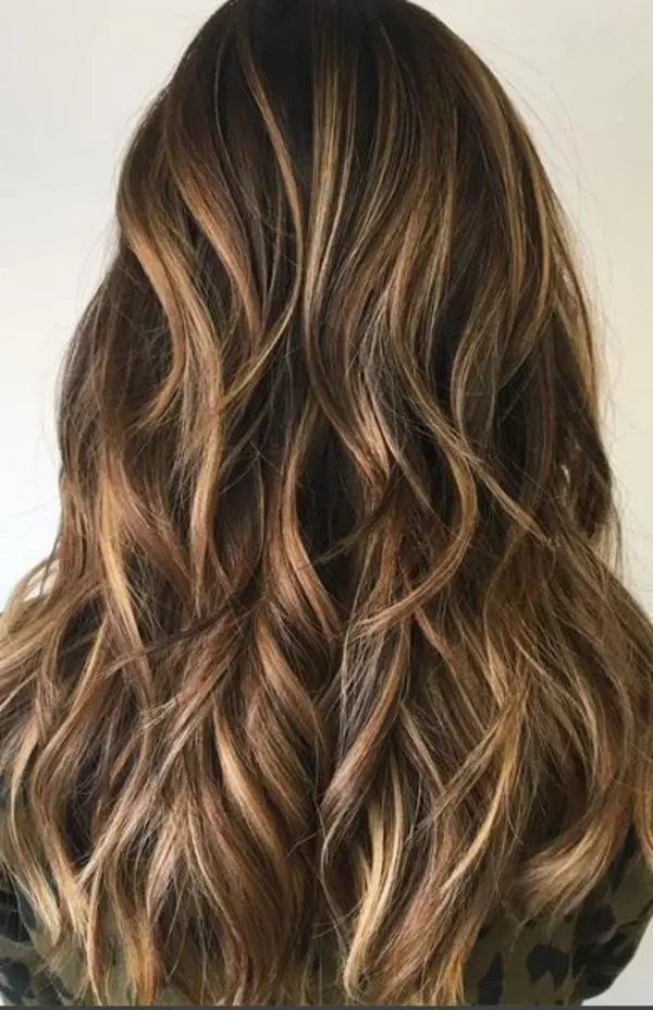 Brunette Hair Highlights