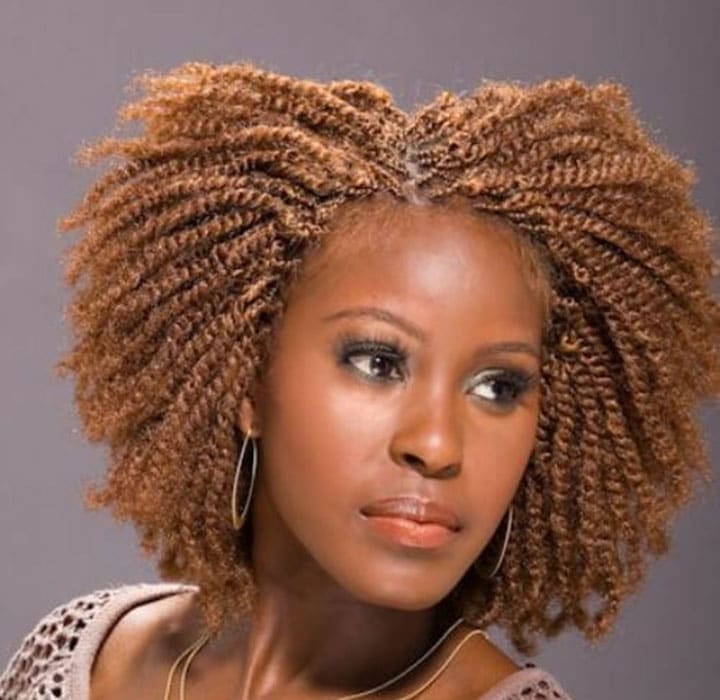 big afro kinky twist braids