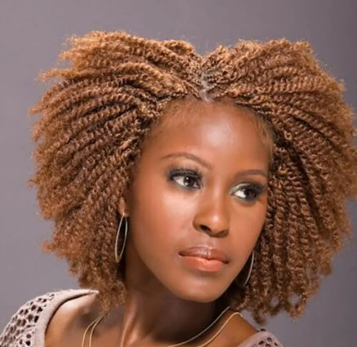 big afro kinky twist braids