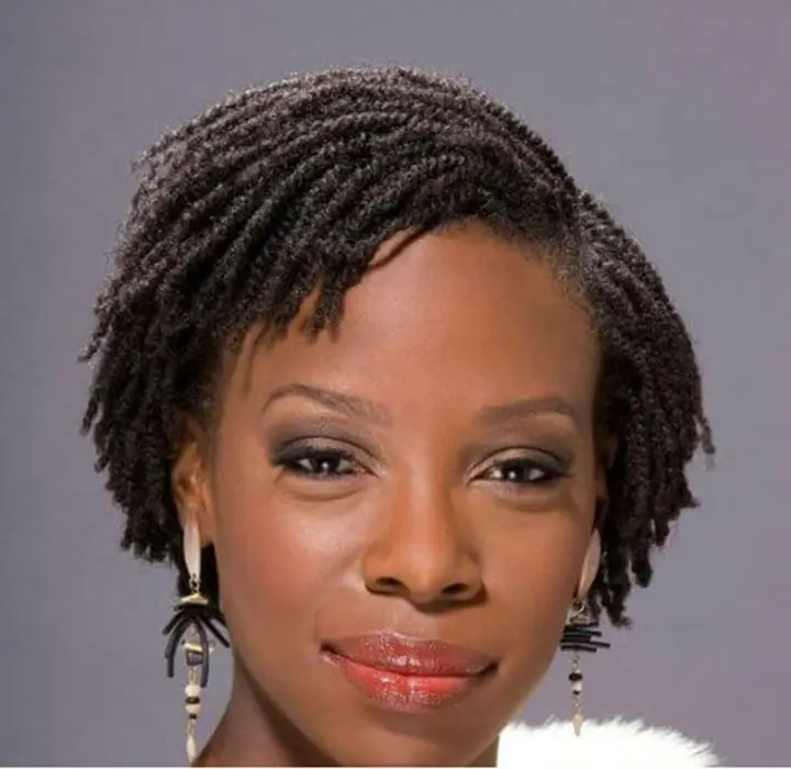 short kinky twists hairstyles