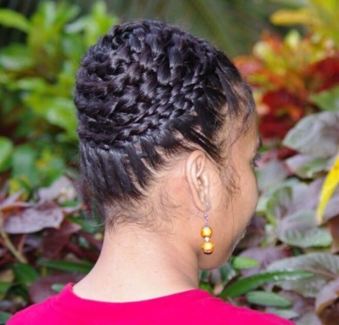 hairstyles braids updo