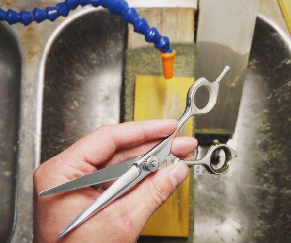 11 Best Hair Cutting Scissors of 2024