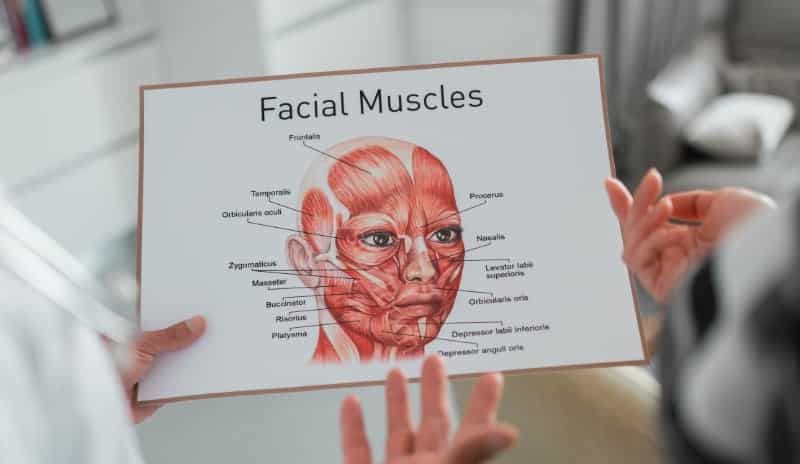 facial muscles explained face yoga