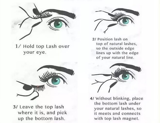how to apply magnetic eyelashes without eyeliner
