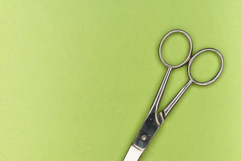 short bladed barbers scissors