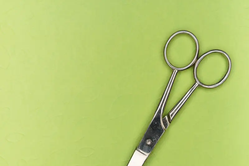 short bladed barbers scissors