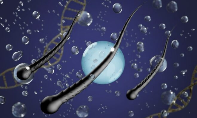 Curly And Wavy Hair Products